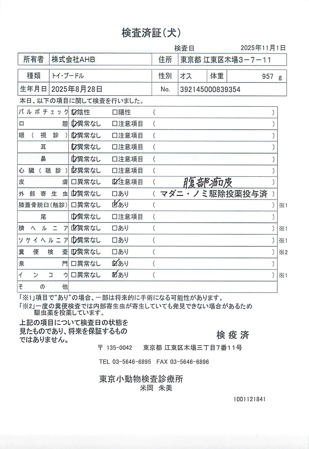 トイ・プードル