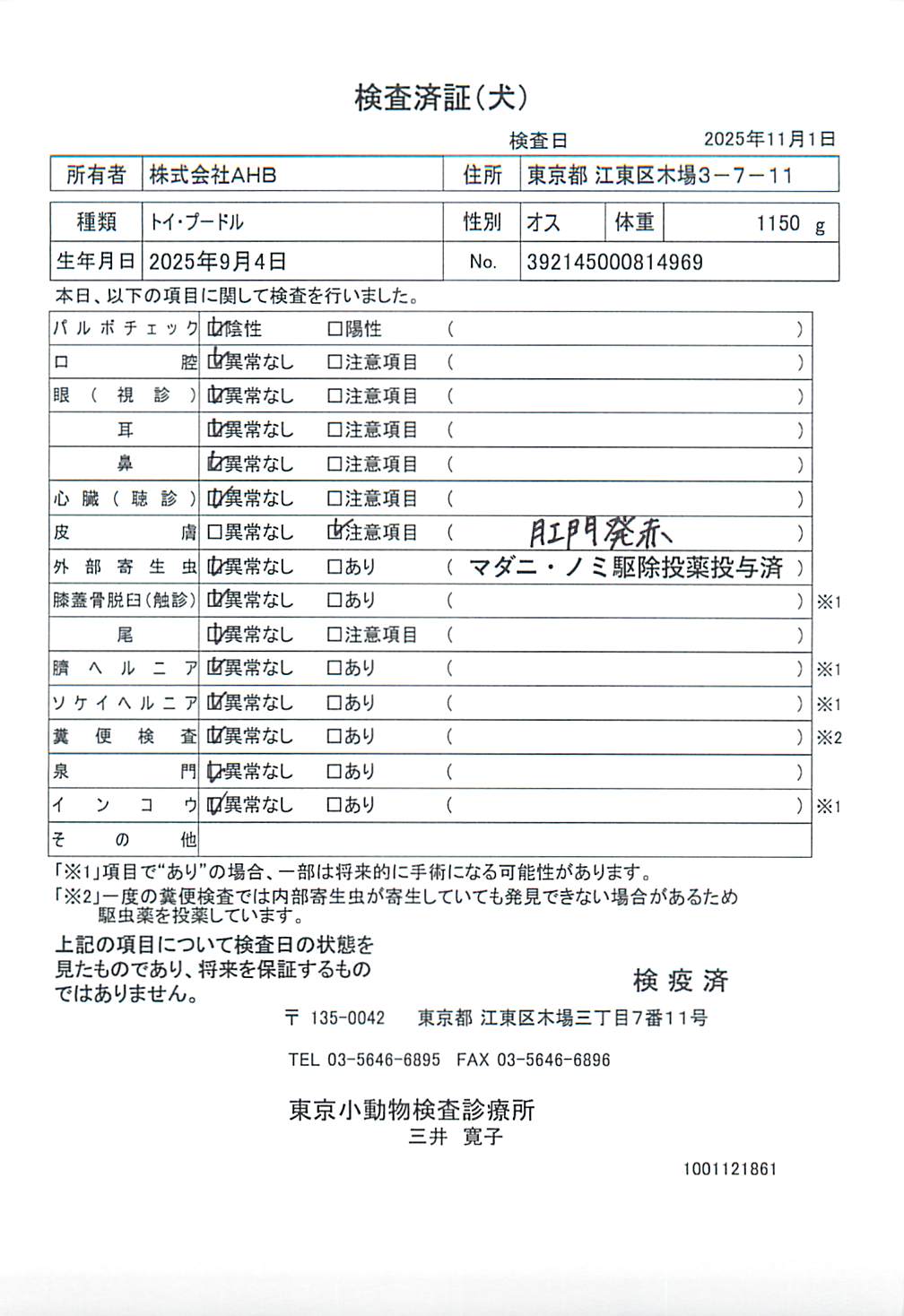 トイ・プードル