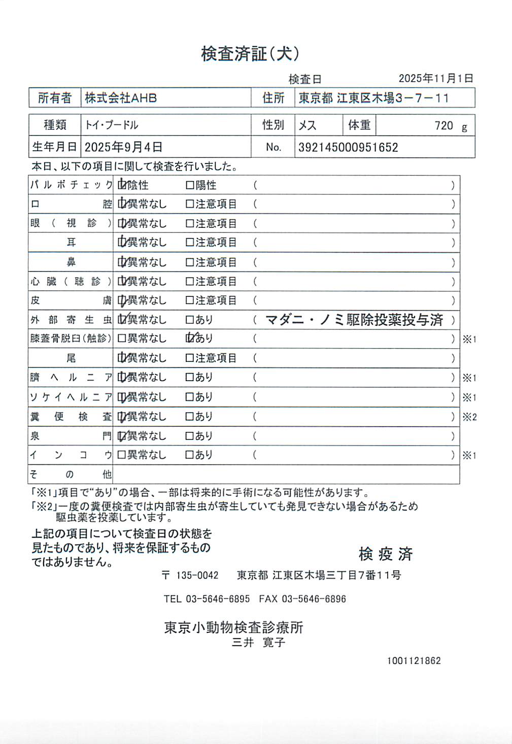 トイ・プードル