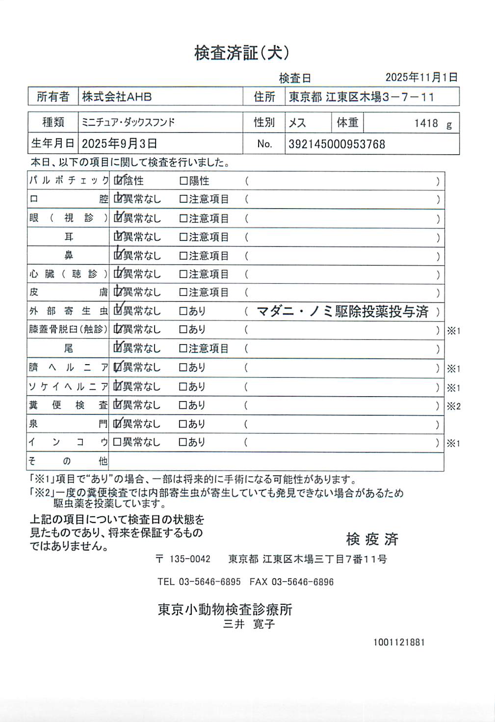 ミニチュア・ダックスフンド