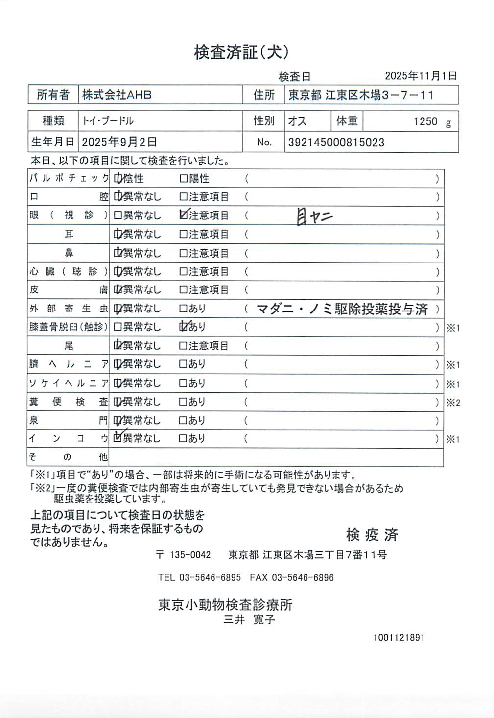 トイ・プードル