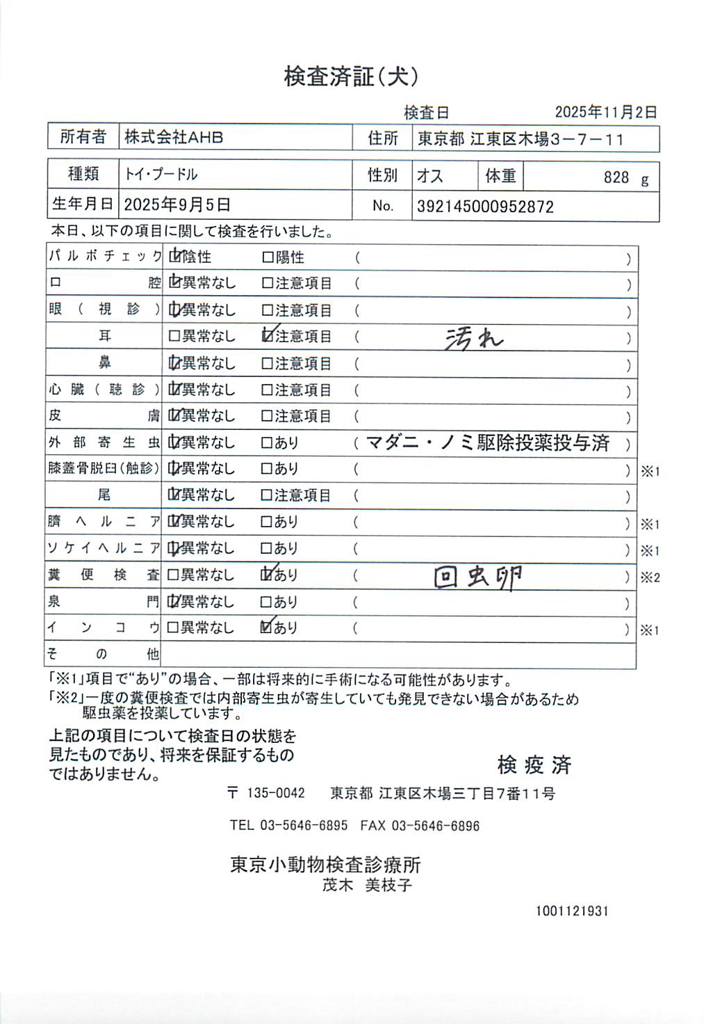 トイ・プードル