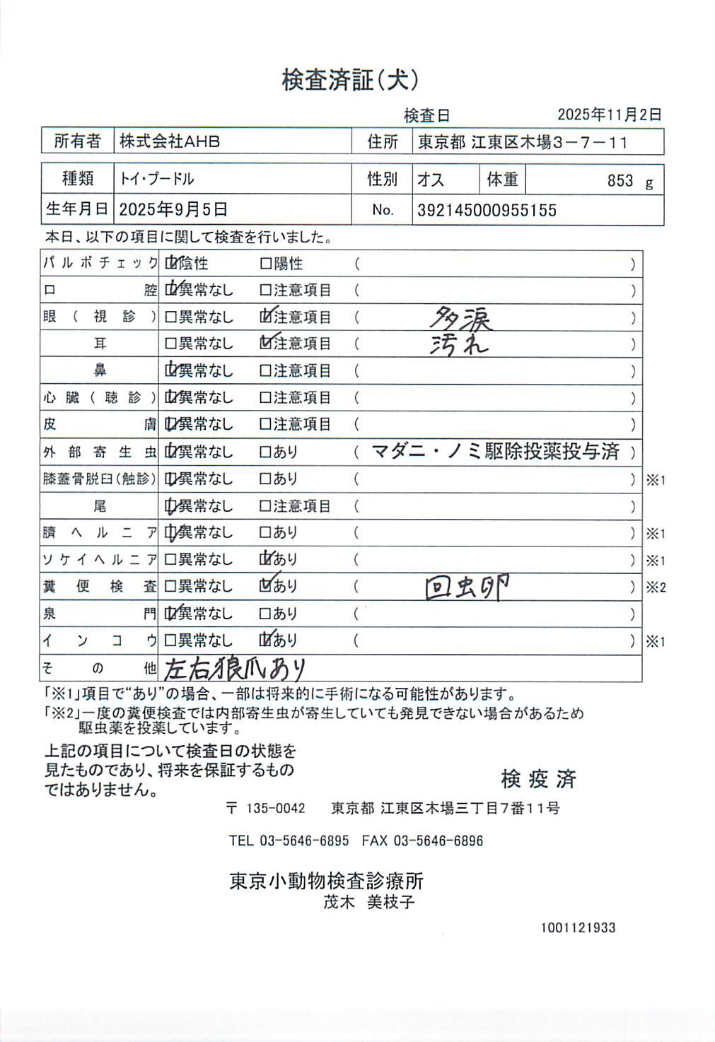トイ・プードル