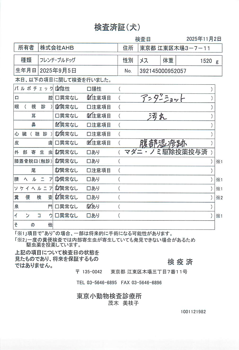 フレンチ・ブルドッグ