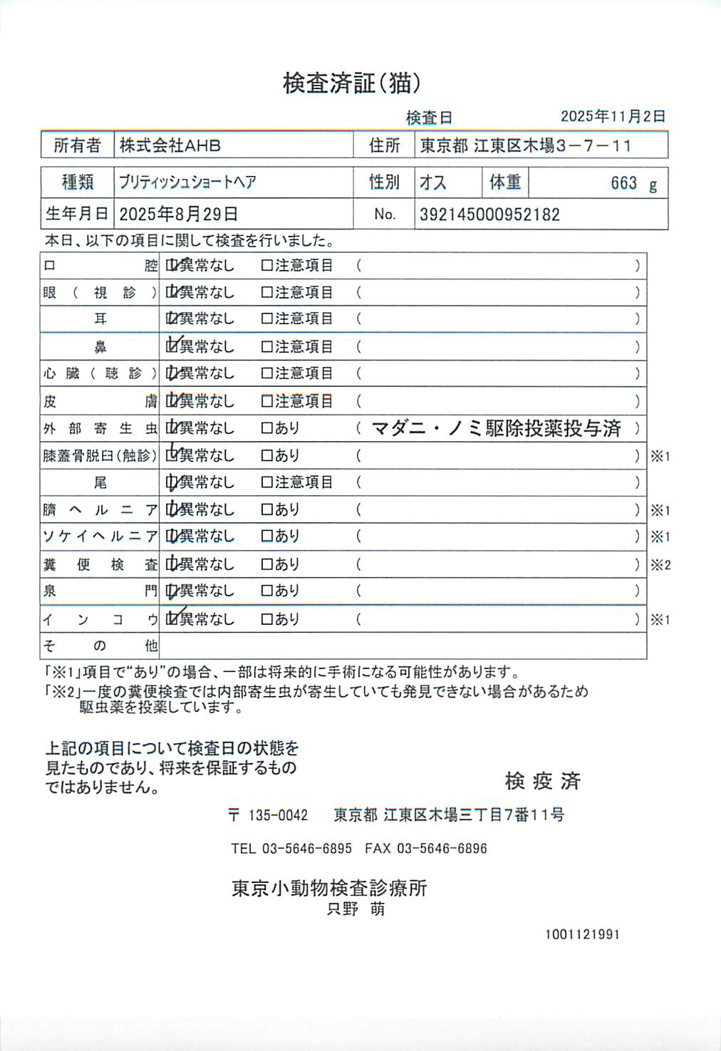 ブリティッシュショートヘア