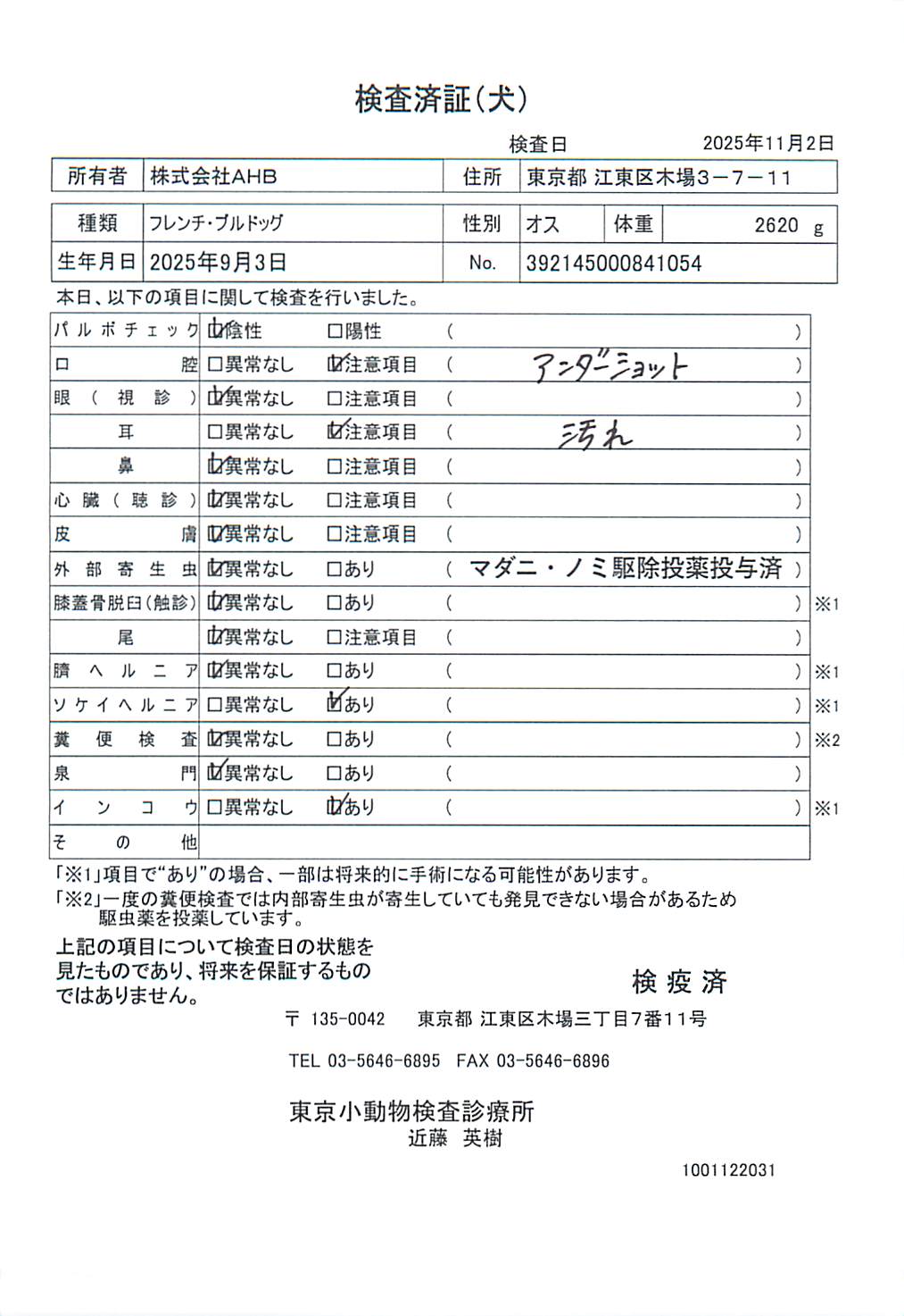 フレンチ・ブルドッグ