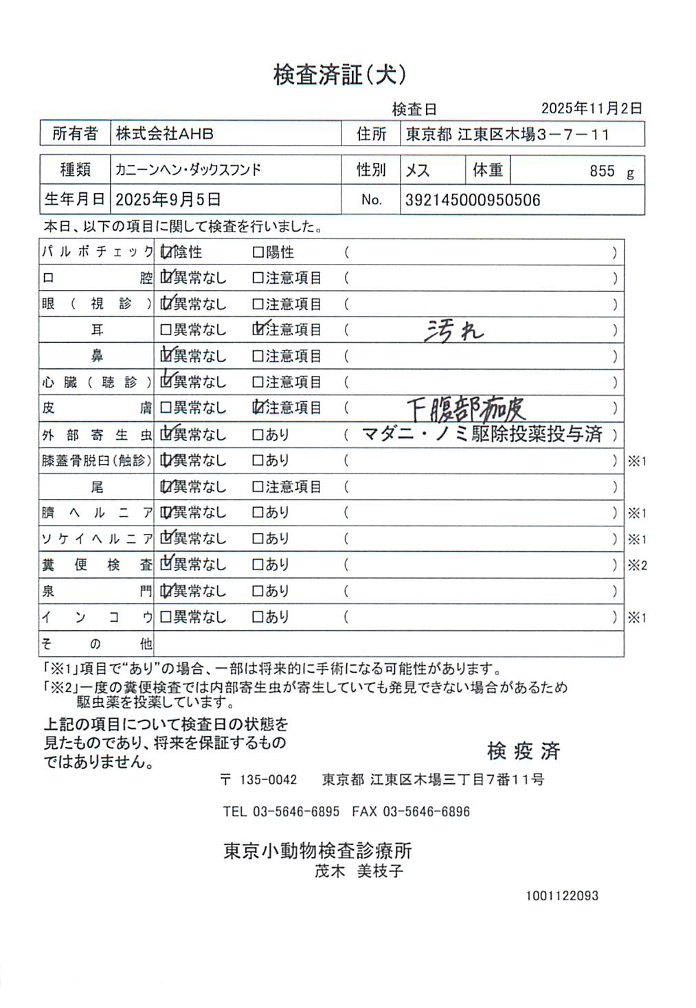 カニーンヘン・ダックスフンド