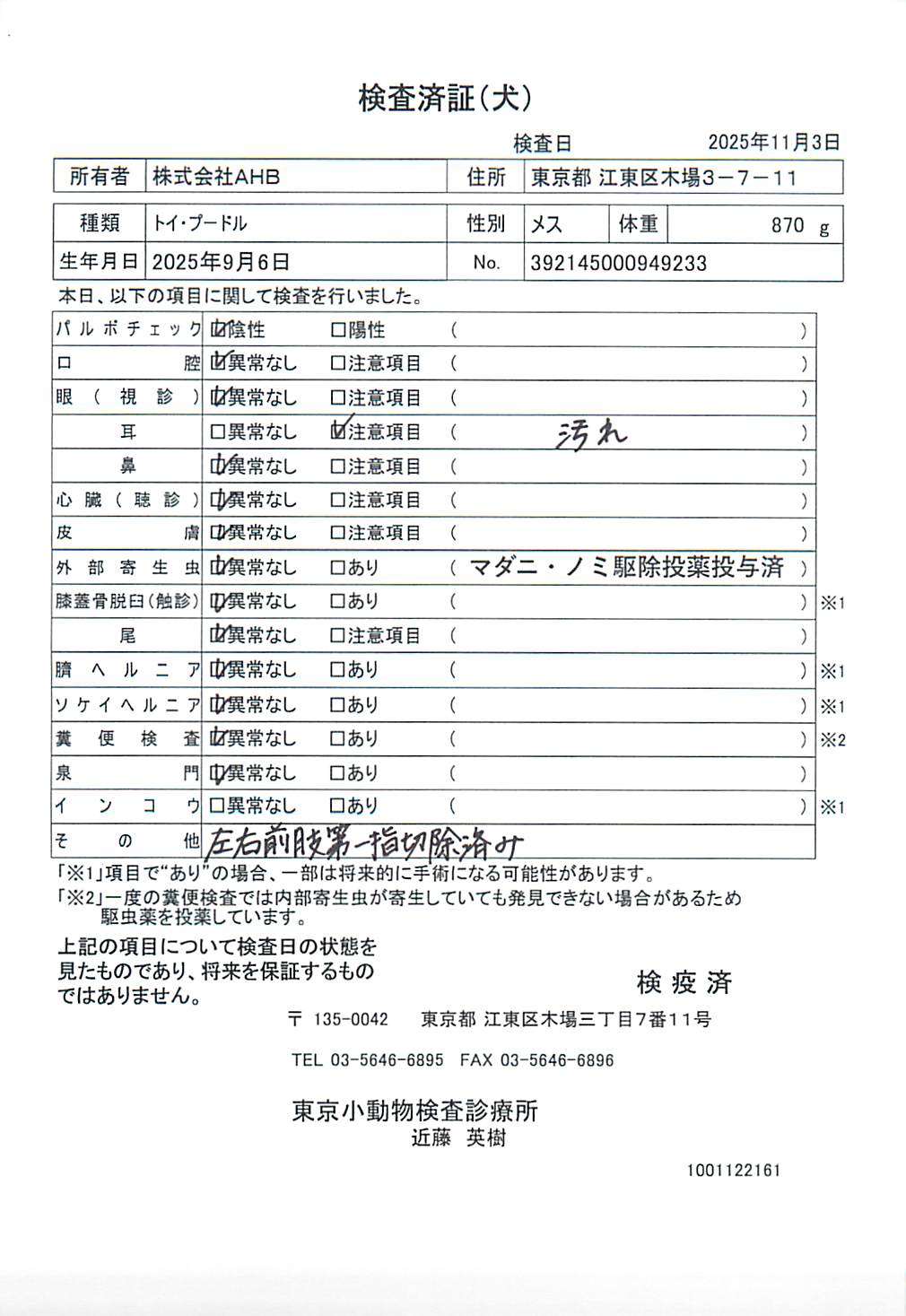 トイ・プードル