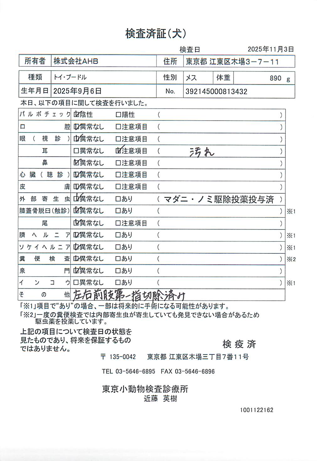 トイ・プードル