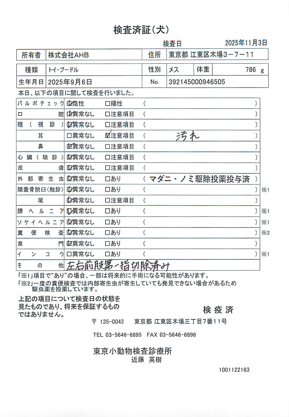 トイ・プードル