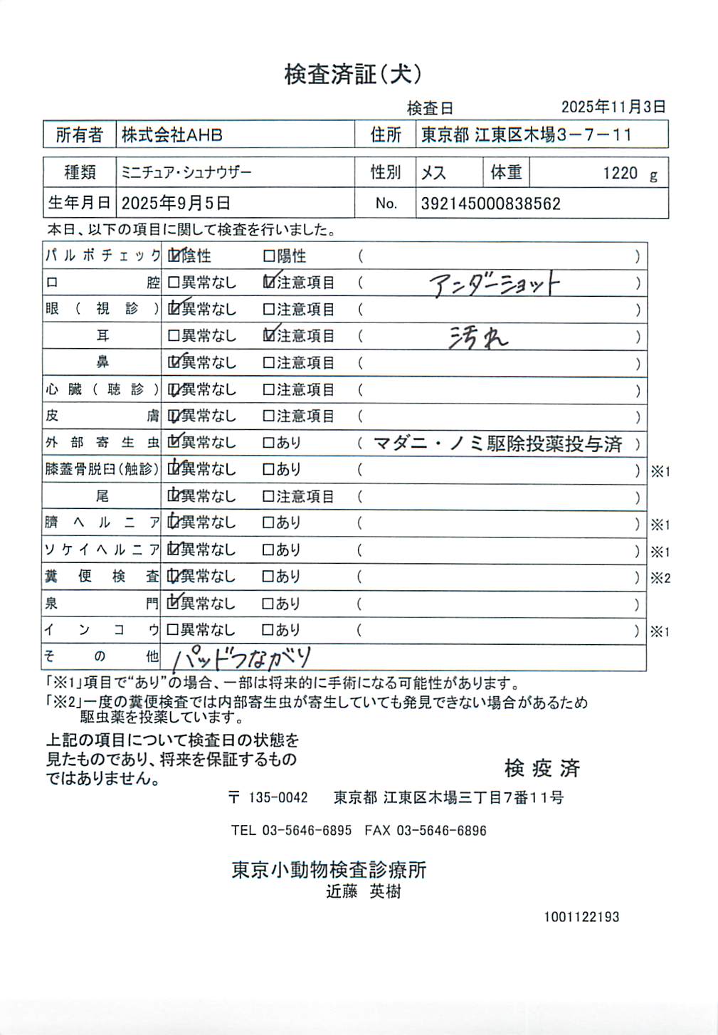 ミニチュア・シュナウザー
