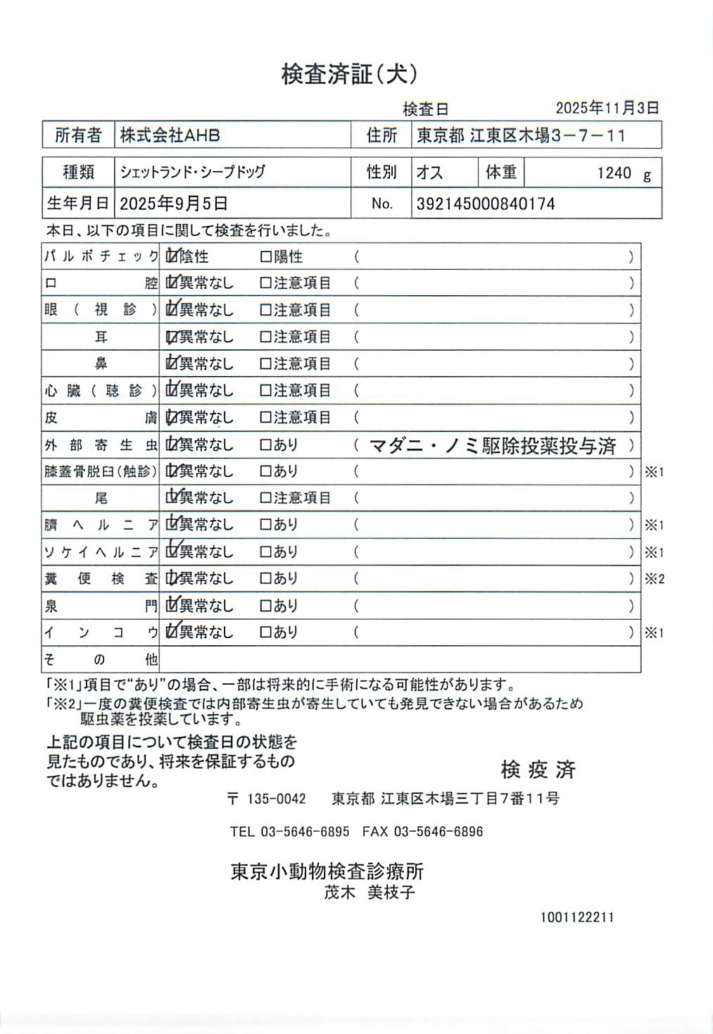 シェットランド・シープドッグ
