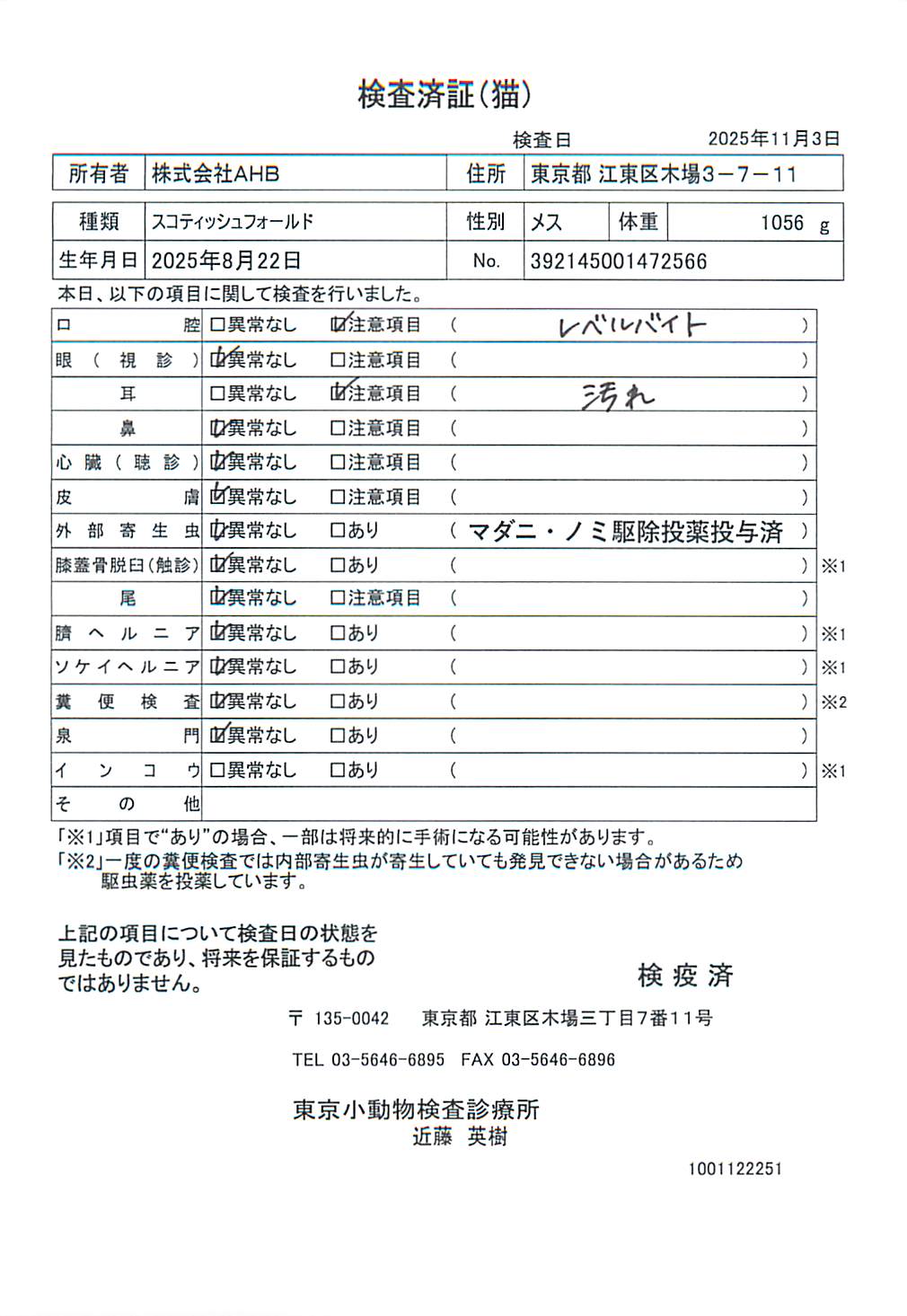 スコティッシュフォールド