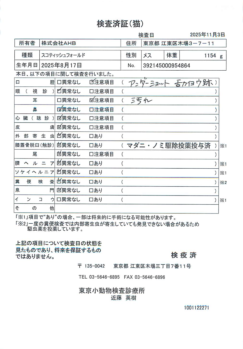 スコティッシュフォールド