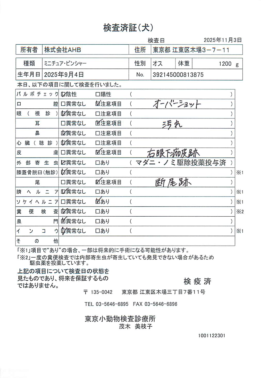 ミニチュア・ピンシャー