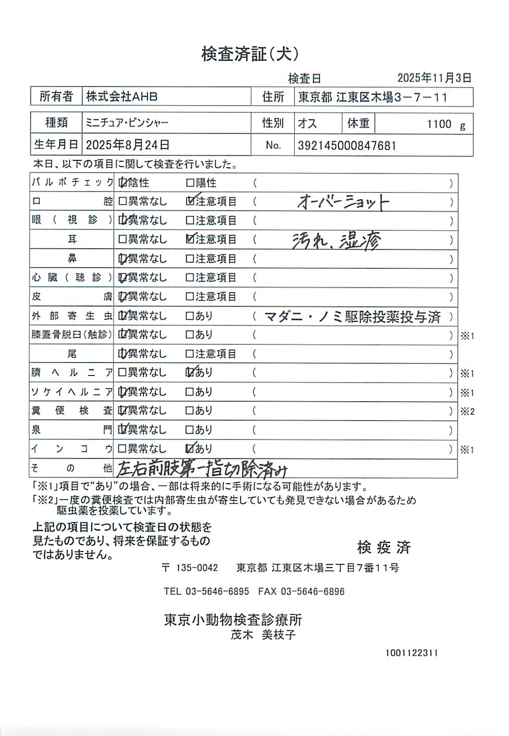 ミニチュア・ピンシャー