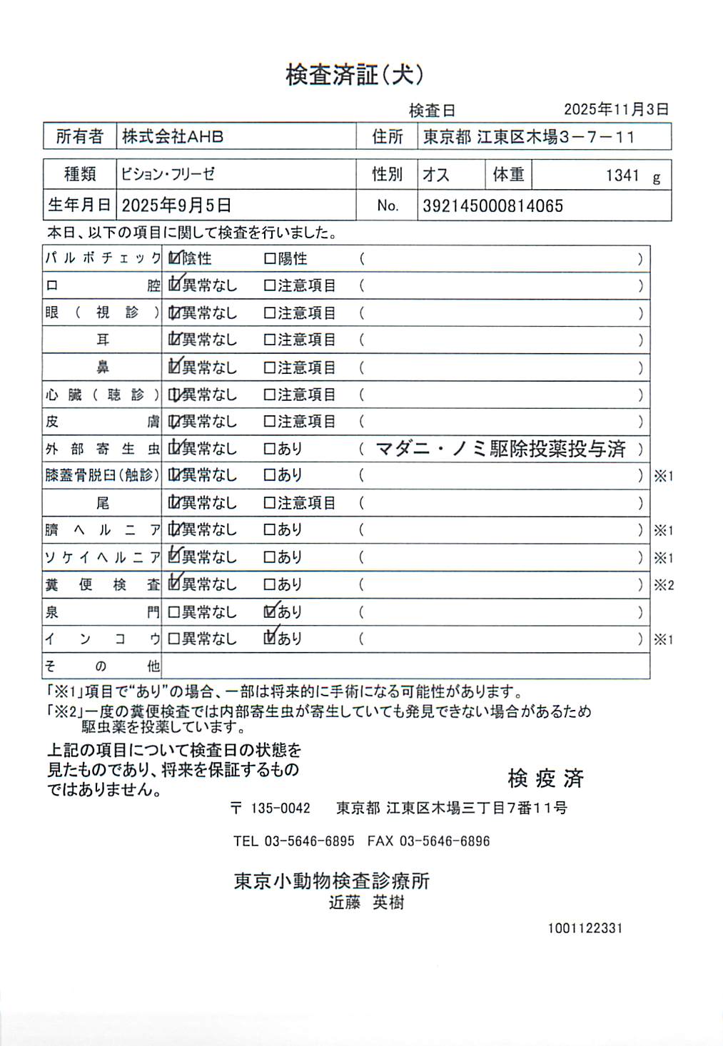 ビション・フリーゼ