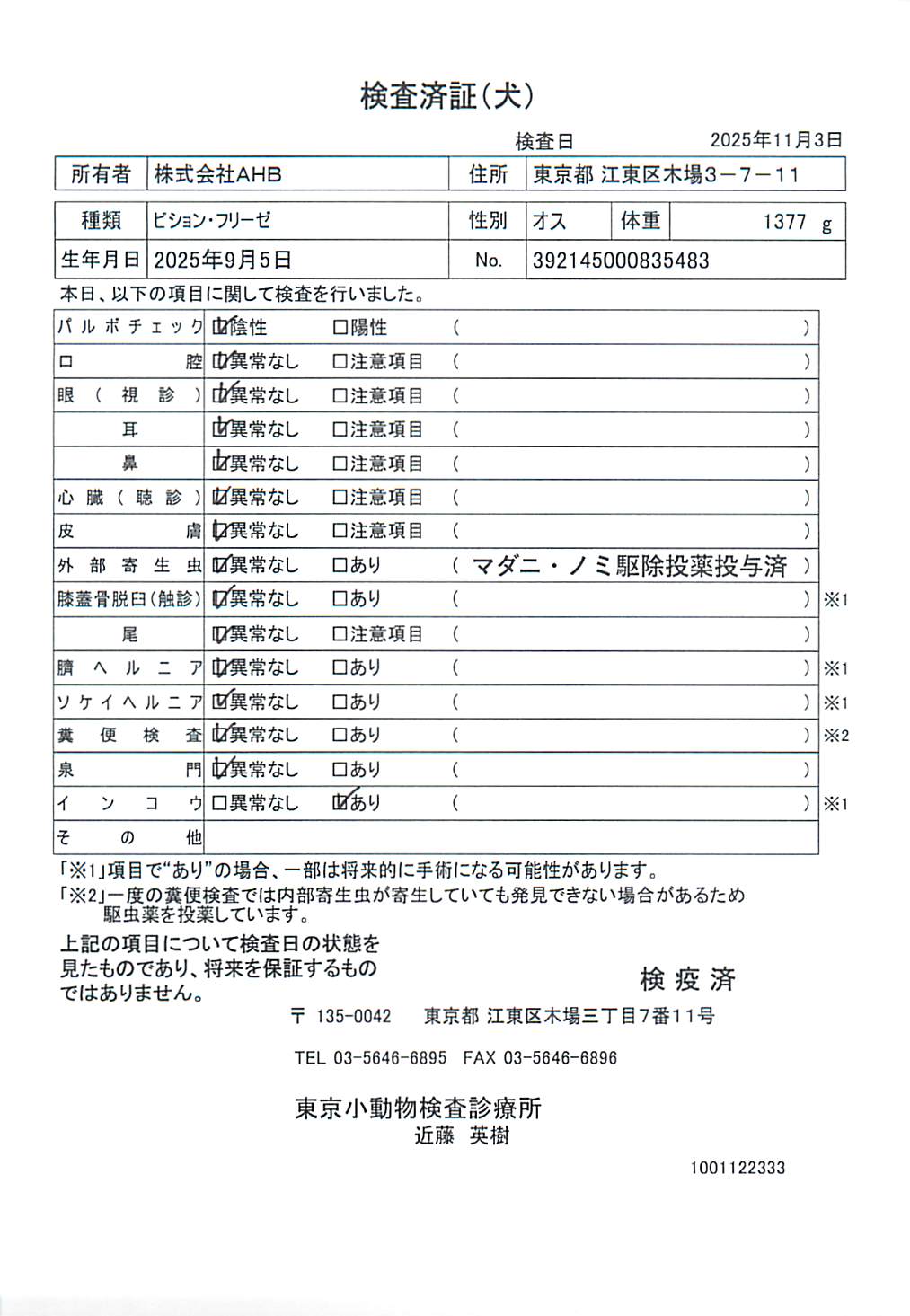 ビション・フリーゼ