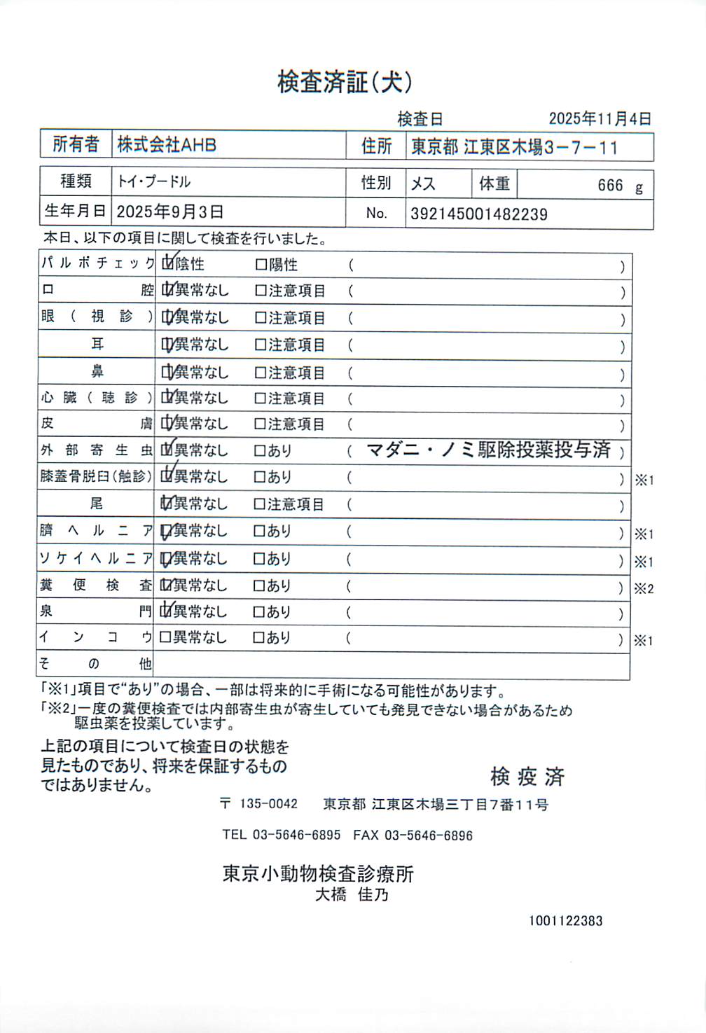 トイ・プードル