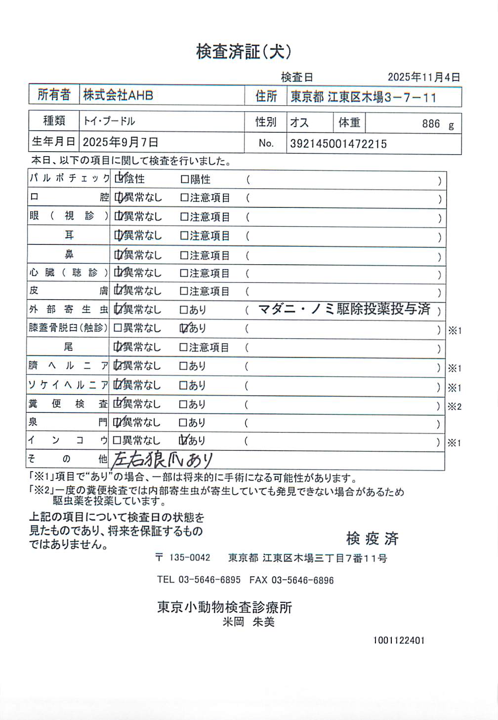 トイ・プードル