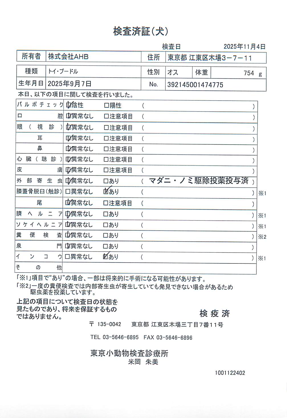 トイ・プードル