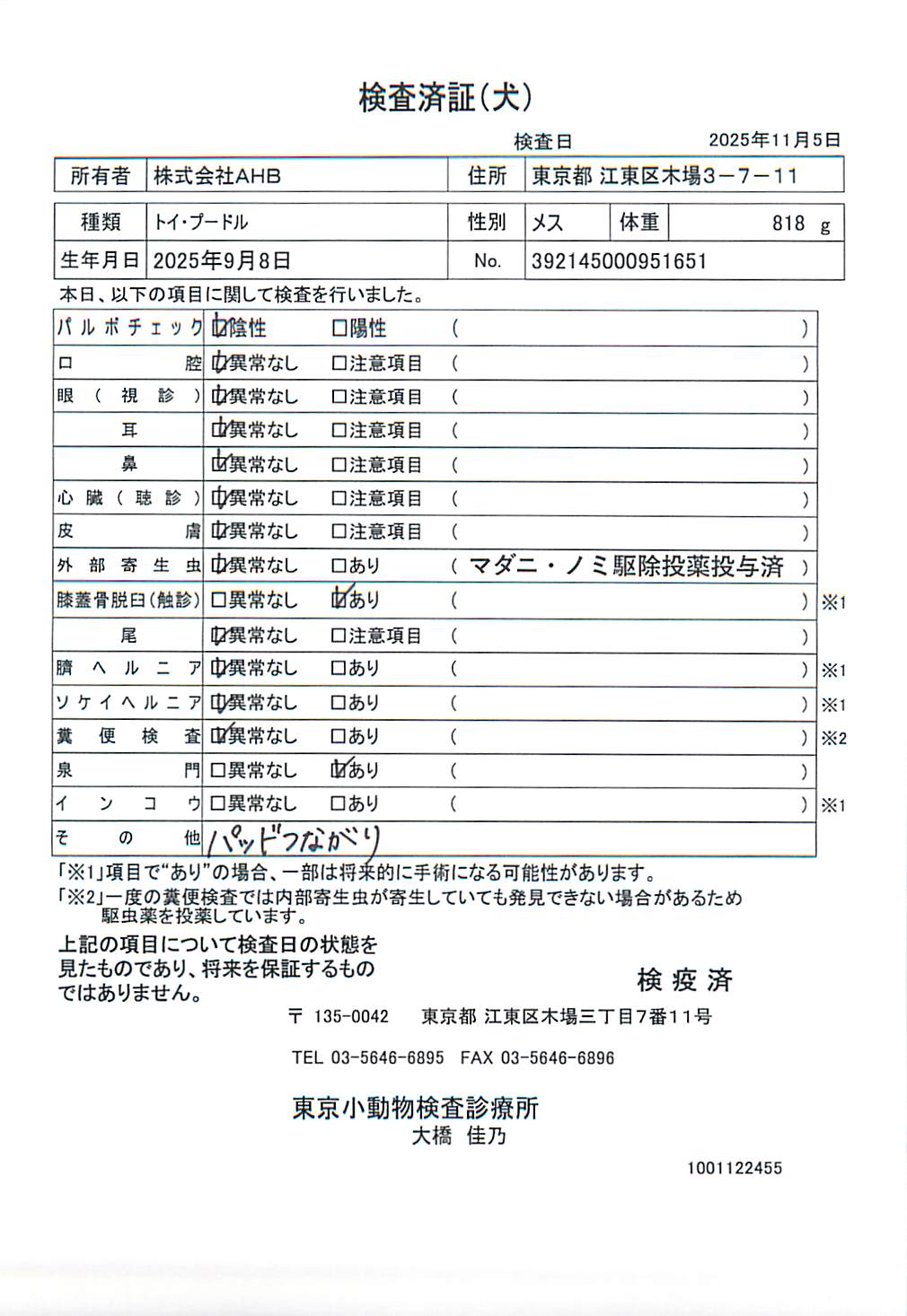 トイ・プードル