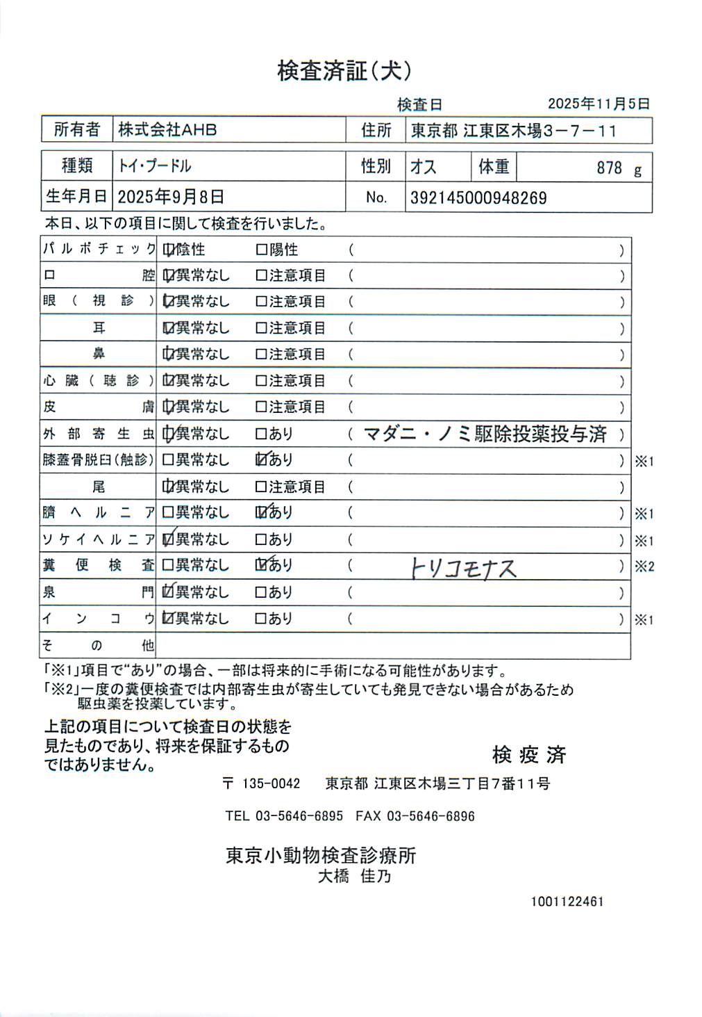 トイ・プードル