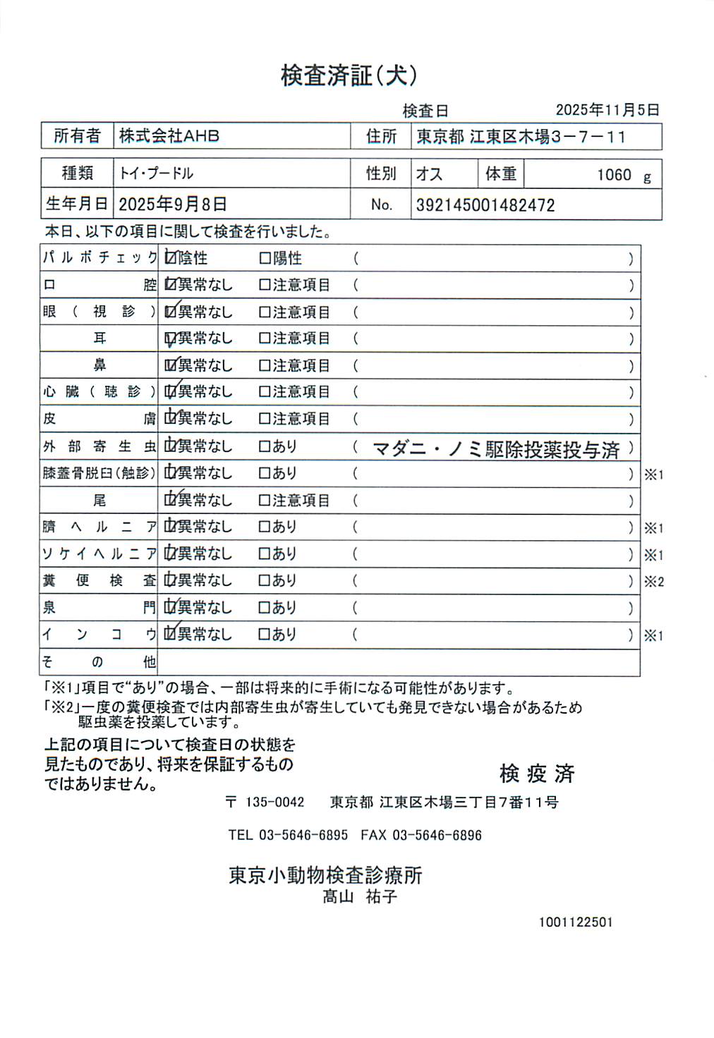 トイ・プードル
