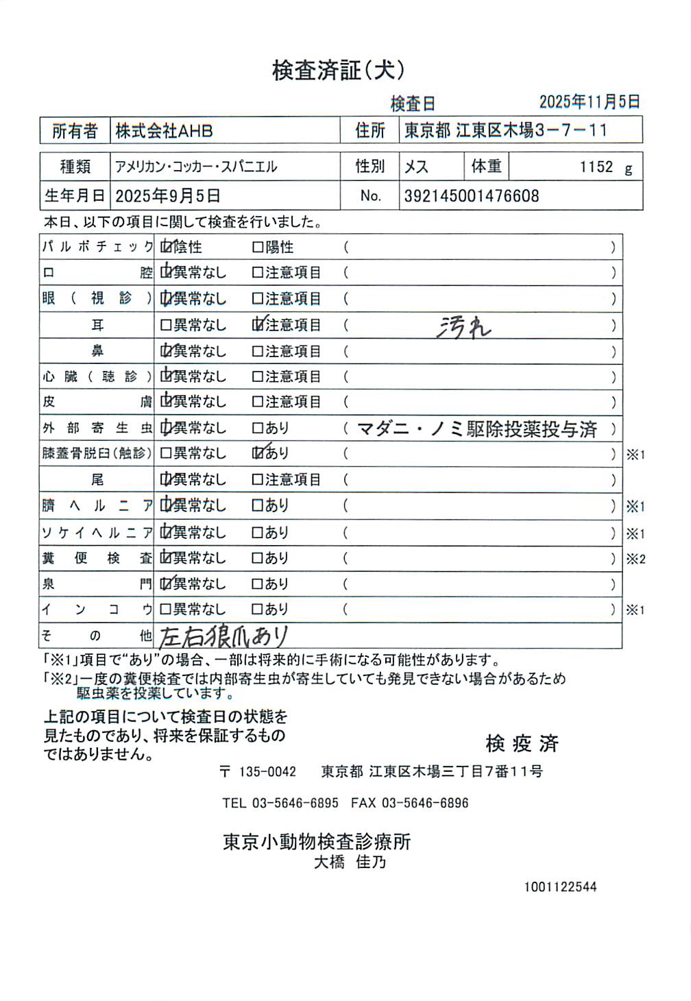 アメリカン・コッカー・スパニエル