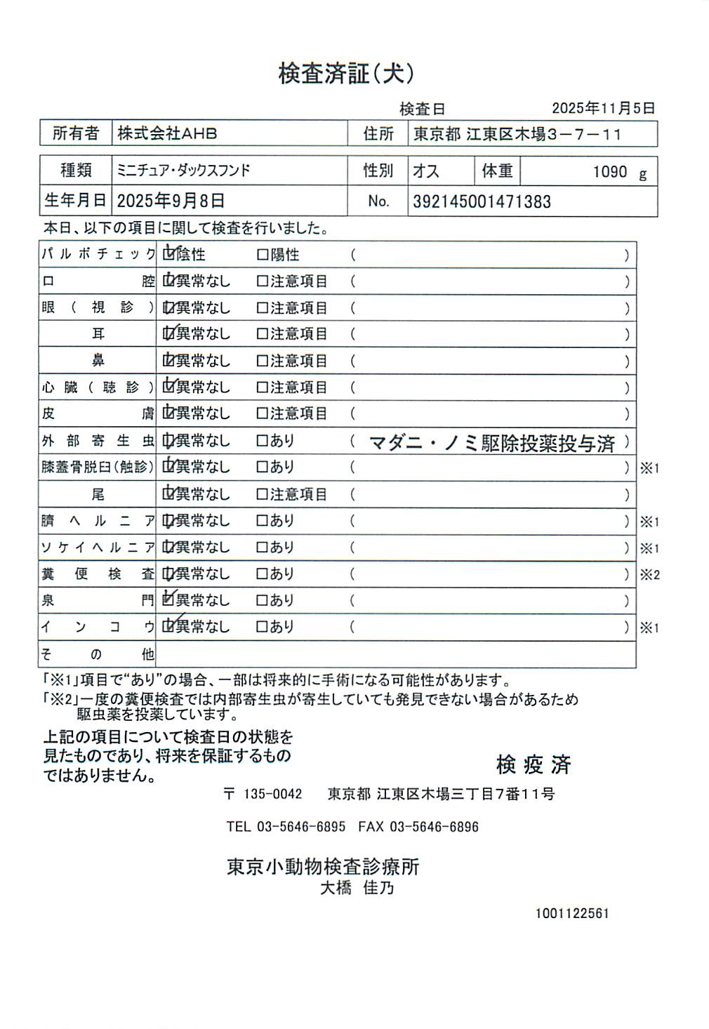 ミニチュア・ダックスフンド