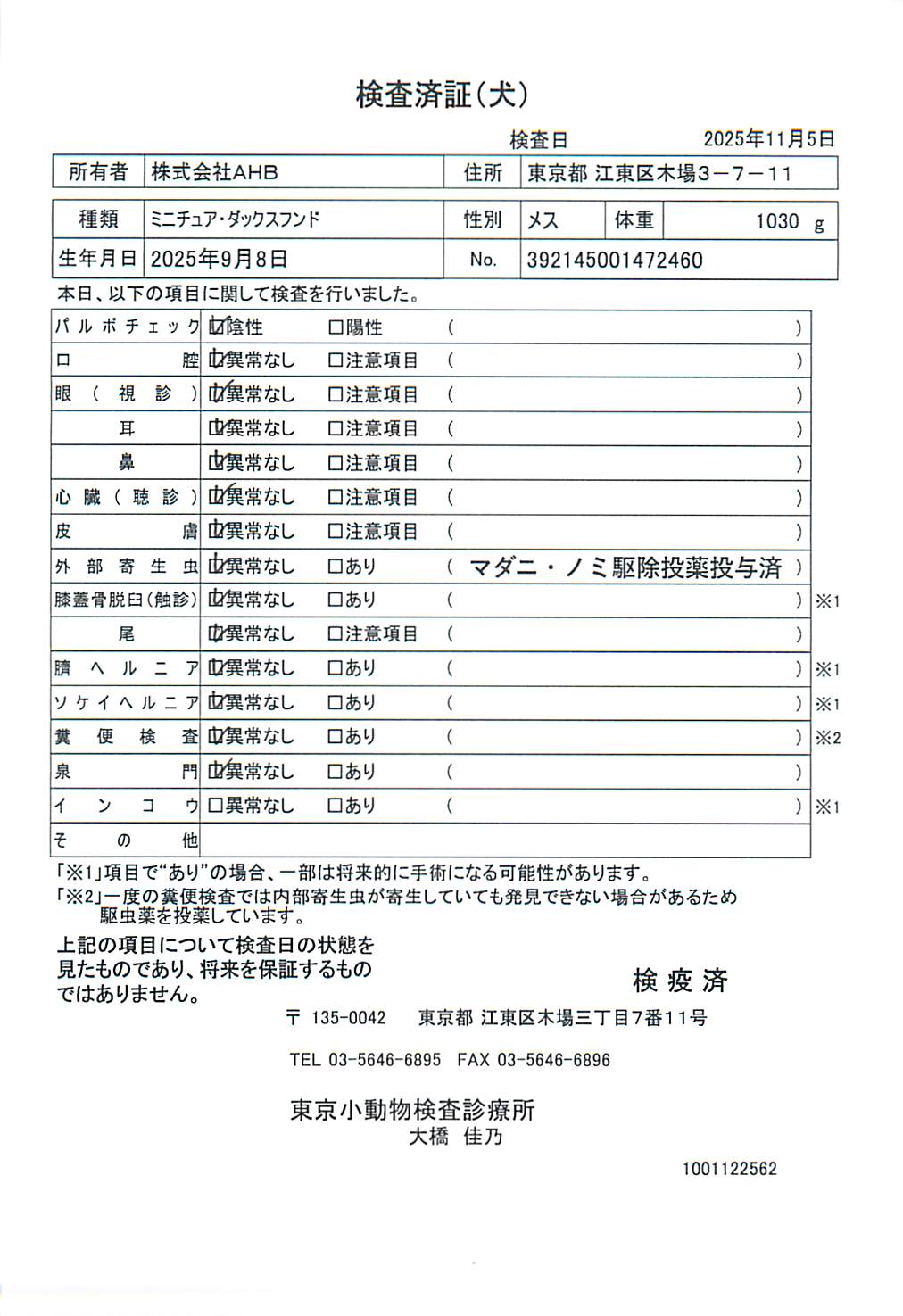 ミニチュア・ダックスフンド
