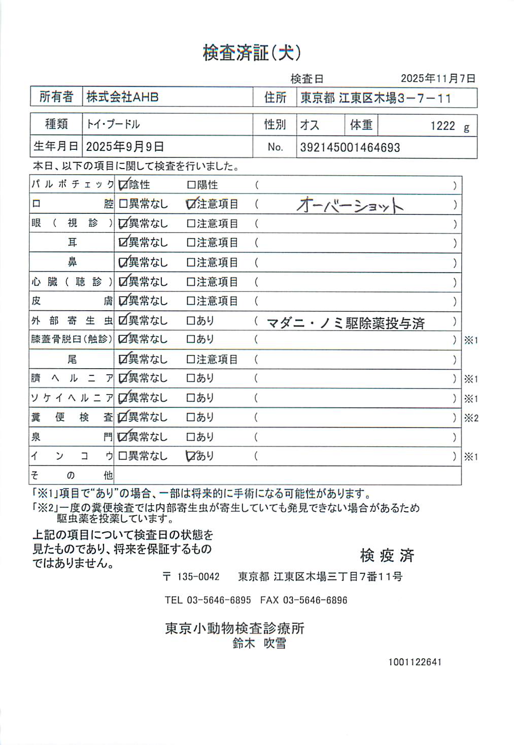 トイ・プードル