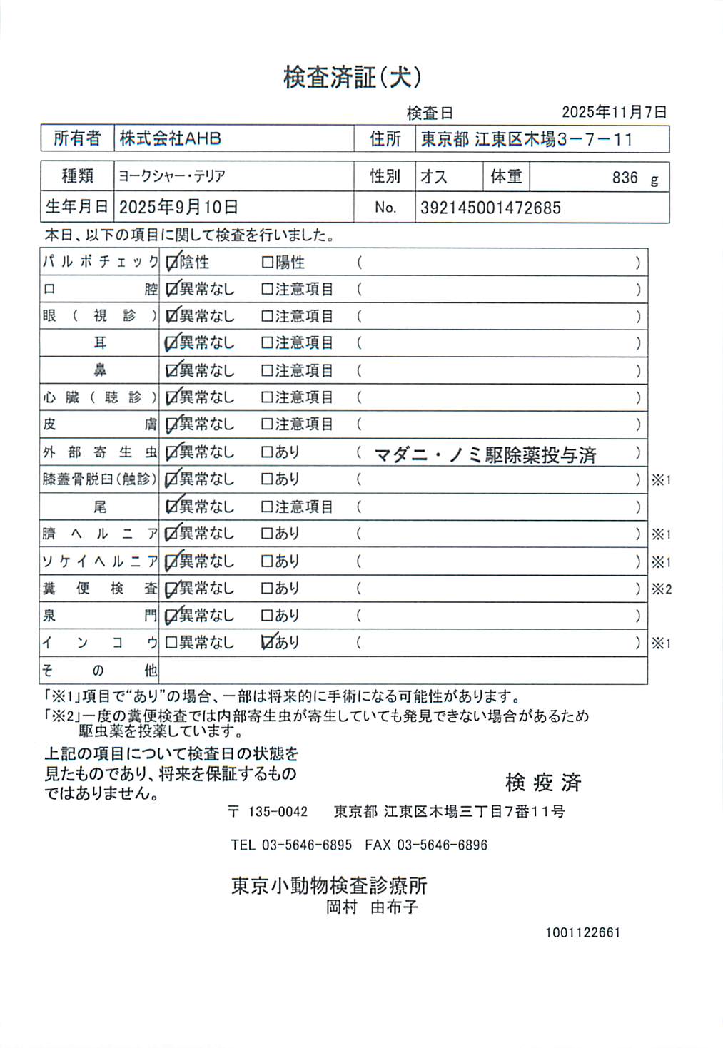 ヨークシャー・テリア