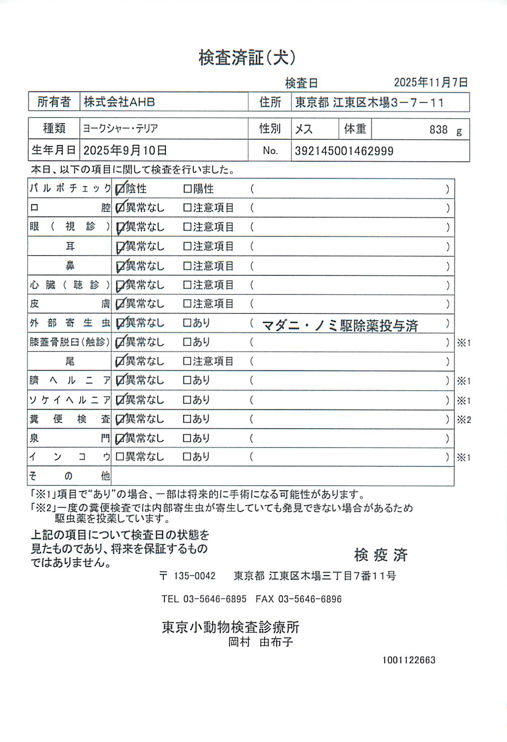 ヨークシャー・テリア
