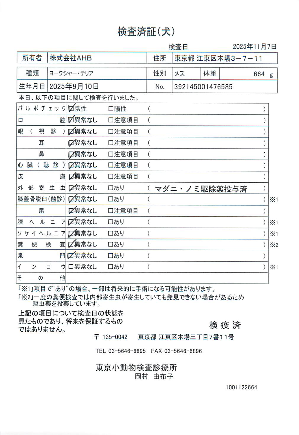 ヨークシャー・テリア