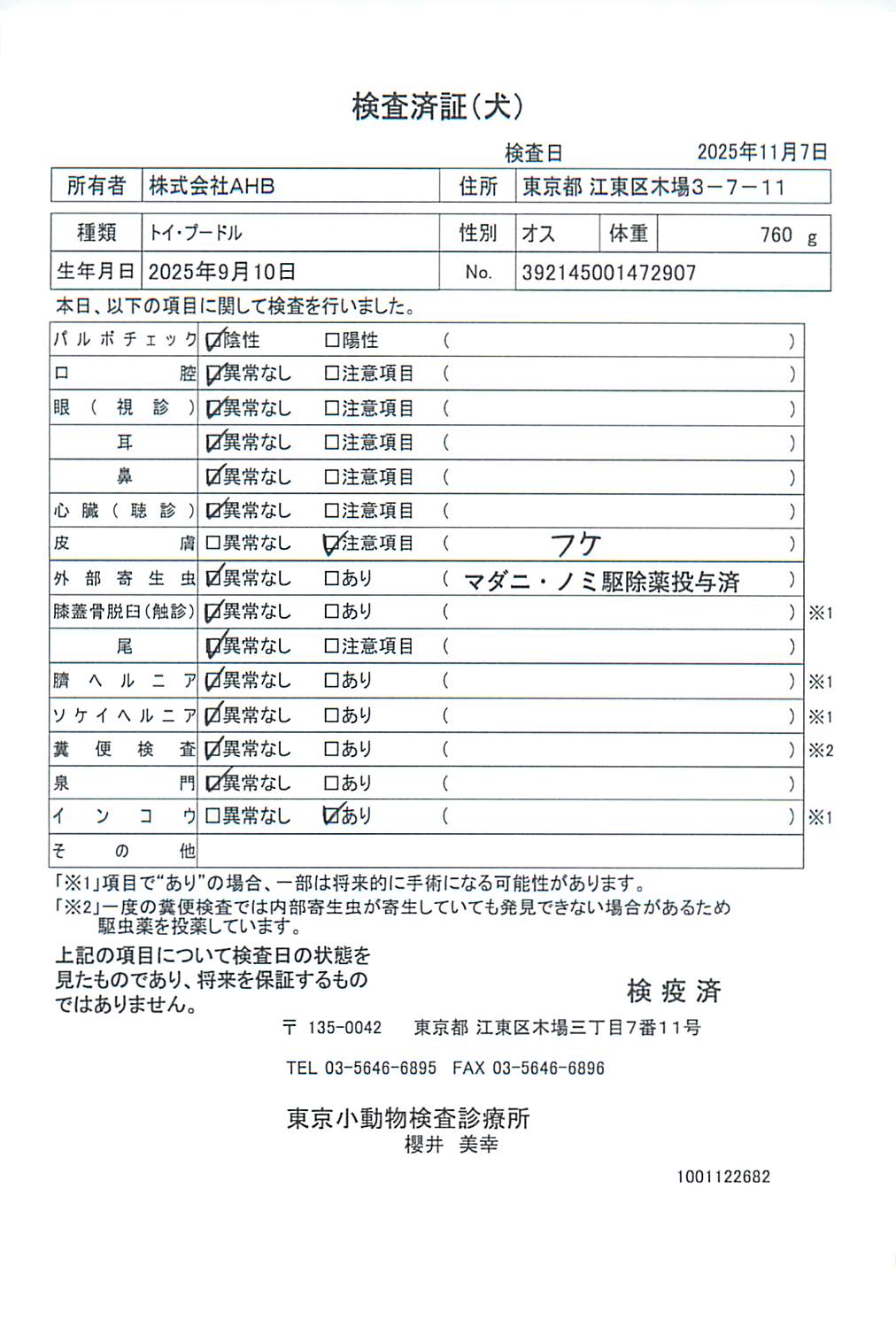 トイ・プードル
