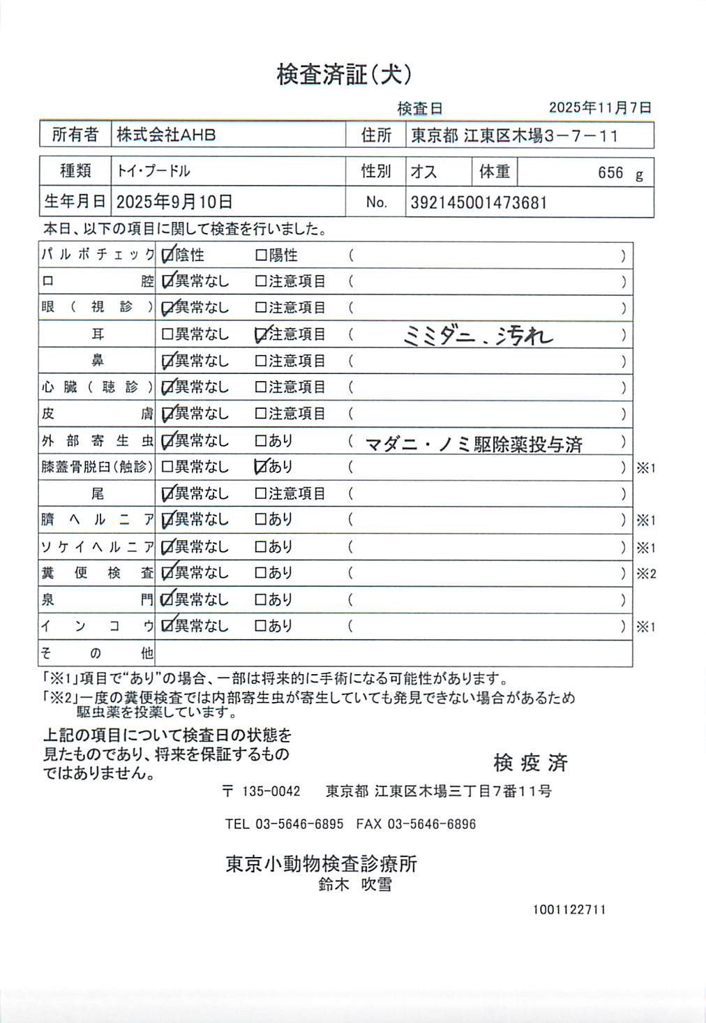 トイ・プードル