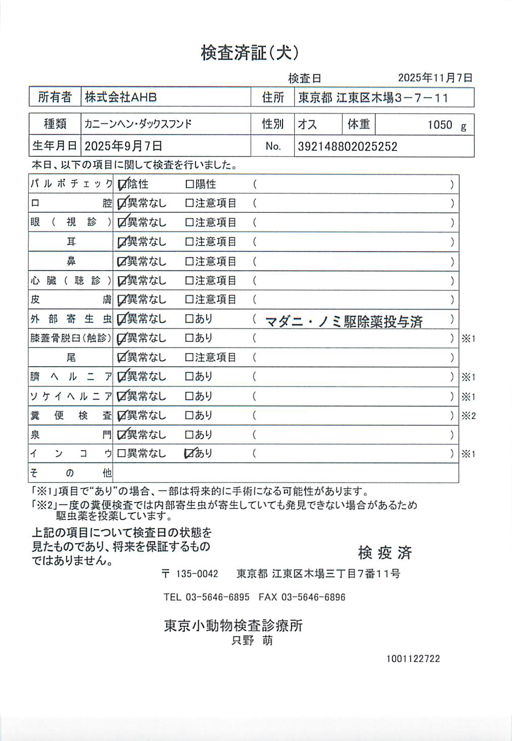 カニーンヘン・ダックスフンド