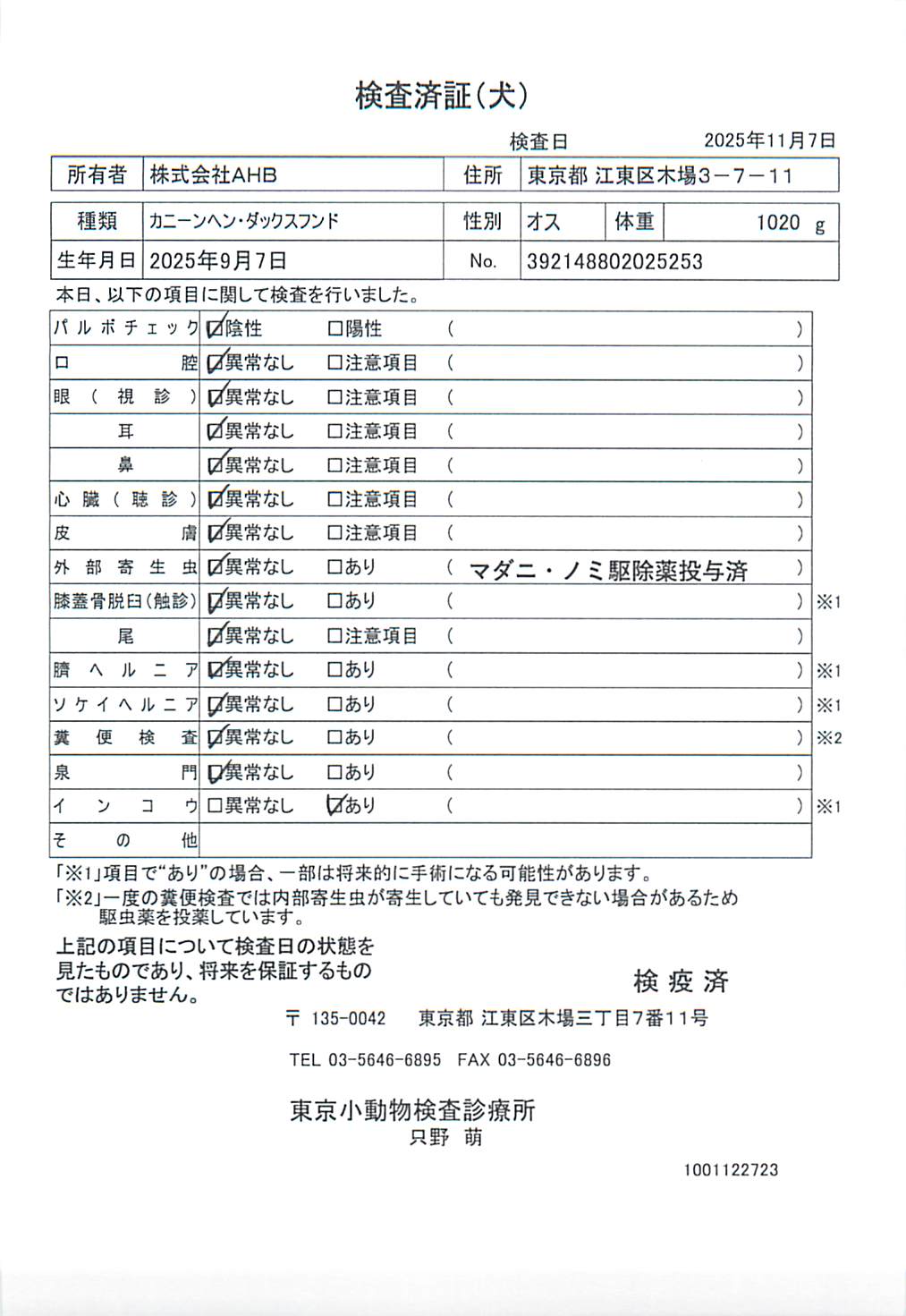 カニーンヘン・ダックスフンド