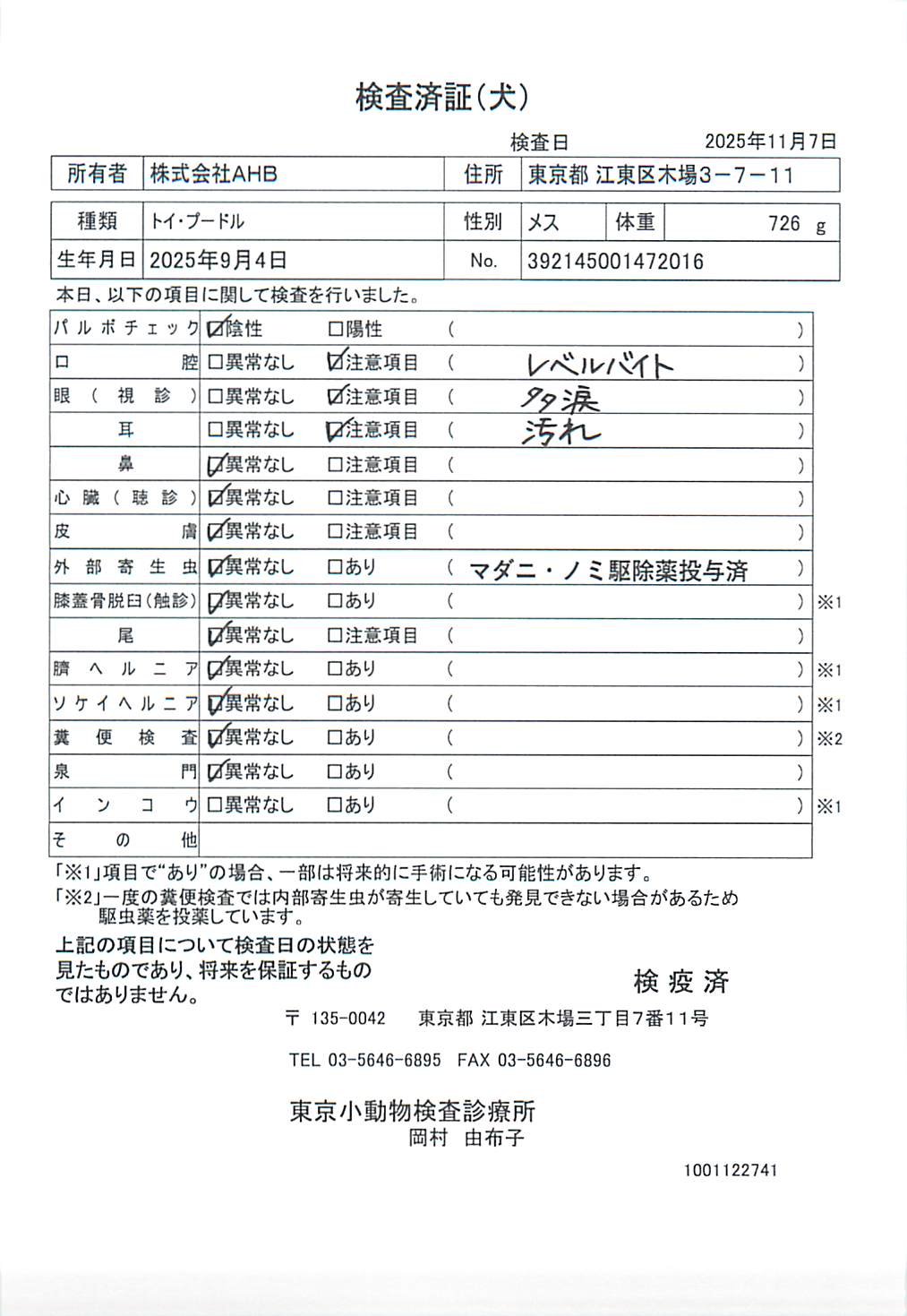 トイ・プードル