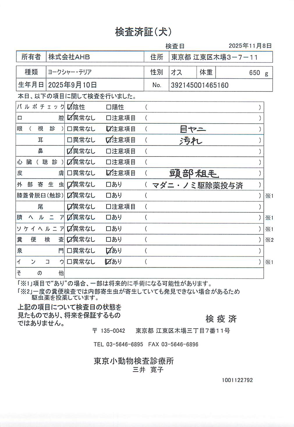 ヨークシャー・テリア