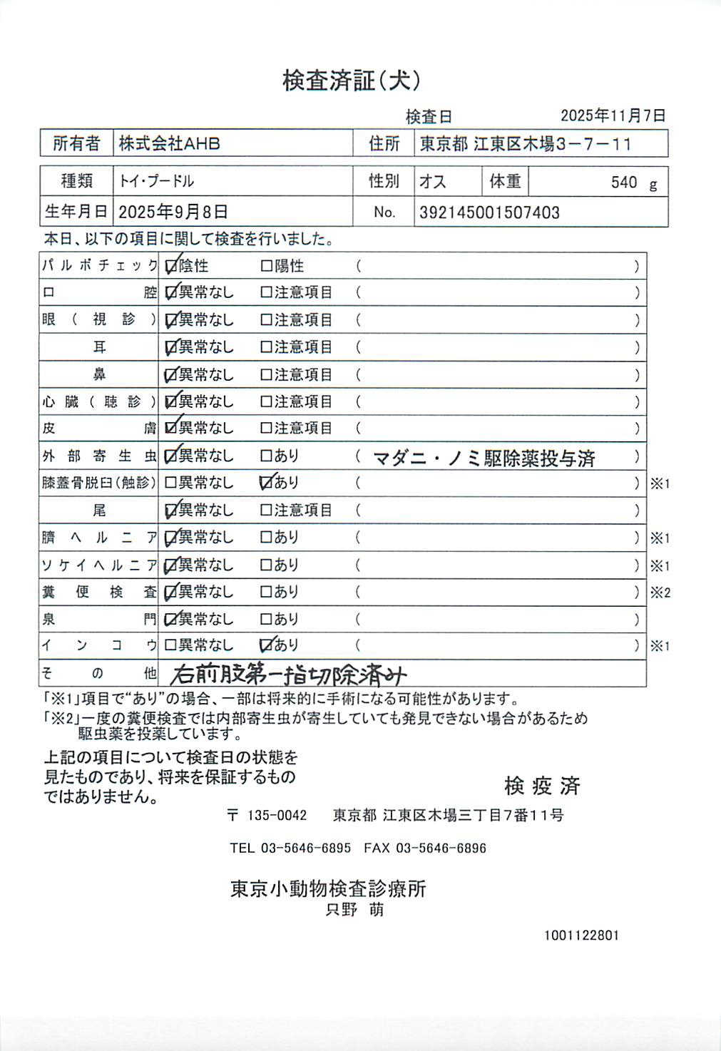 トイ・プードル