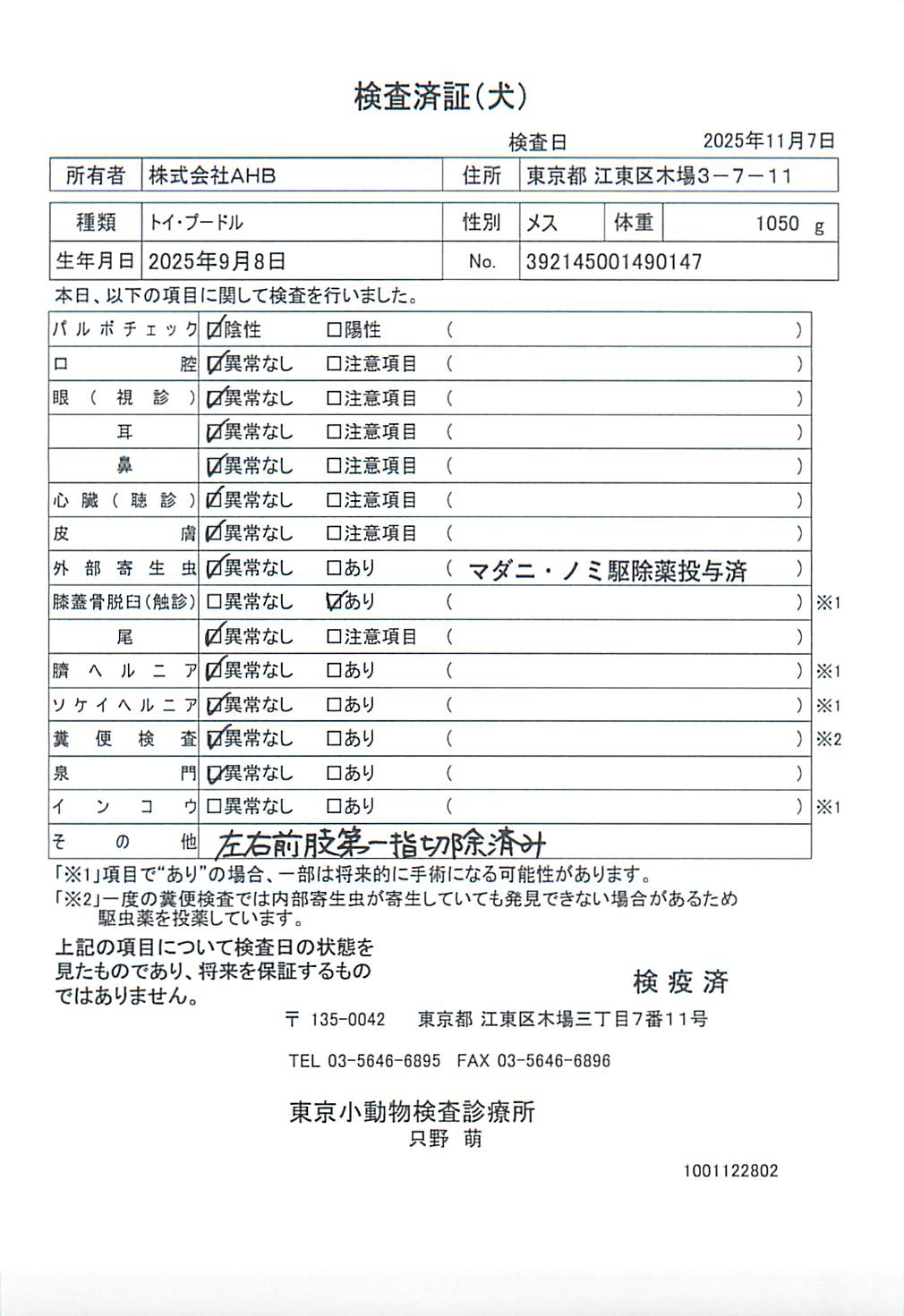 トイ・プードル