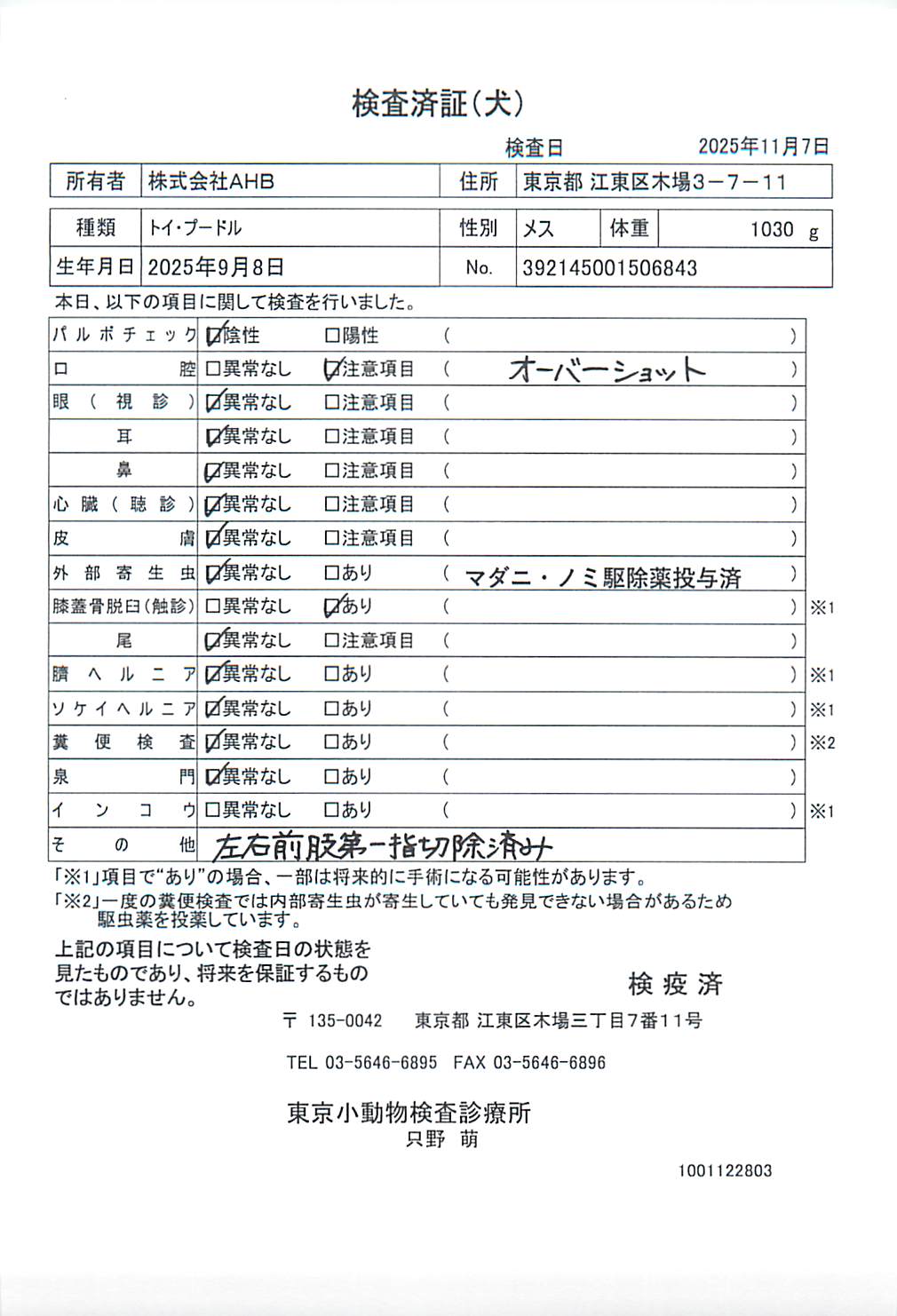 トイ・プードル