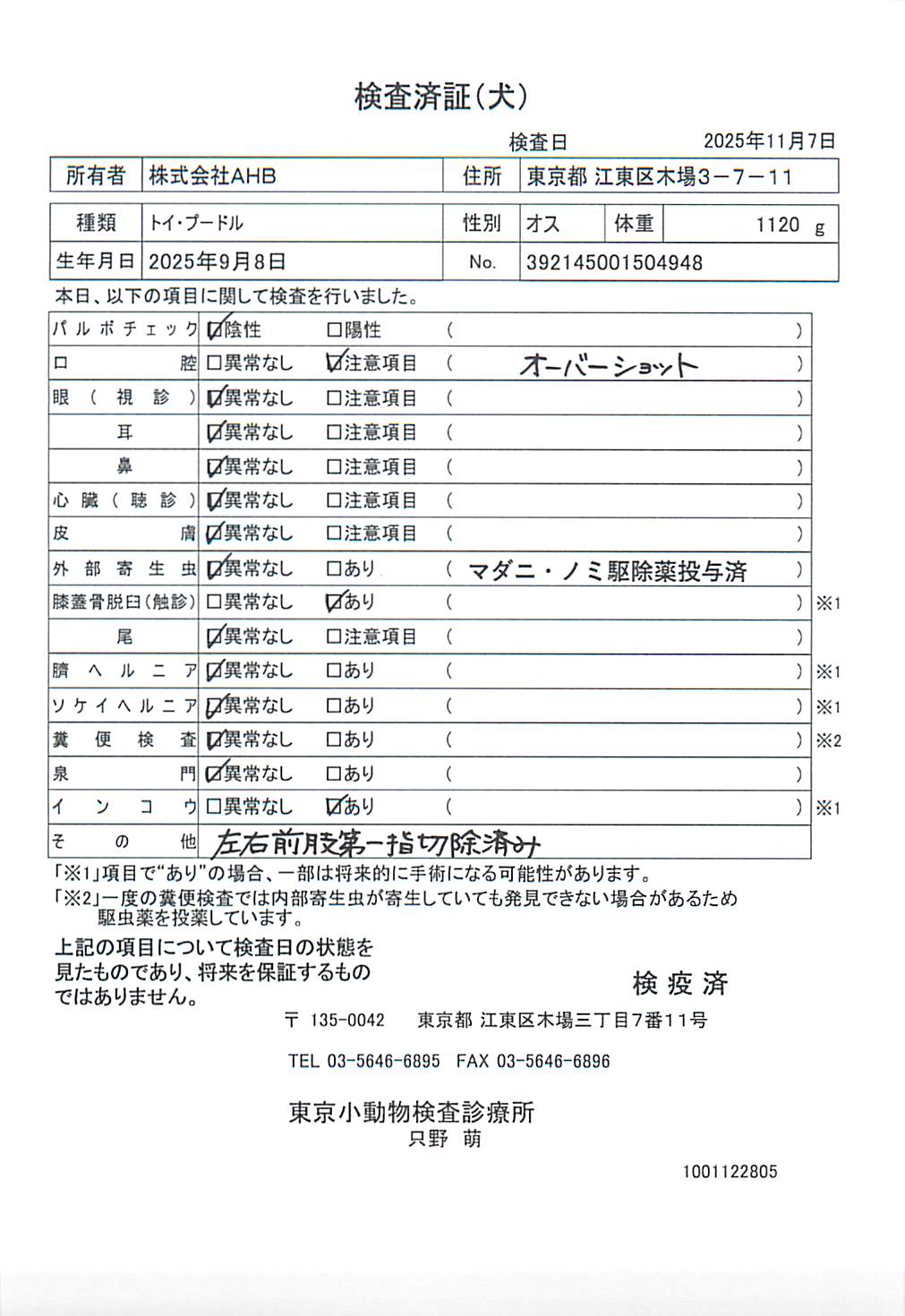 トイ・プードル