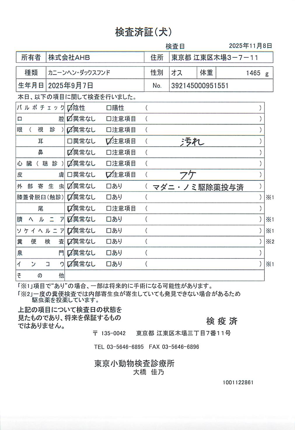 カニーンヘン・ダックスフンド