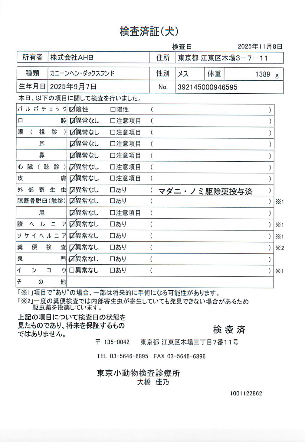 カニーンヘン・ダックスフンド
