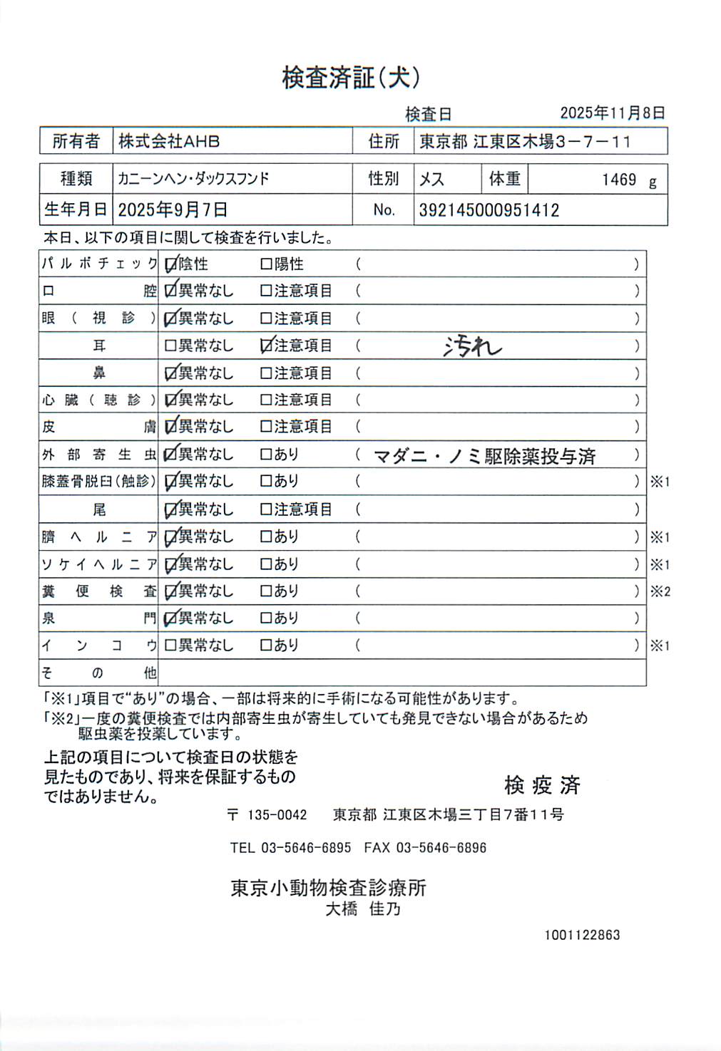 カニーンヘン・ダックスフンド