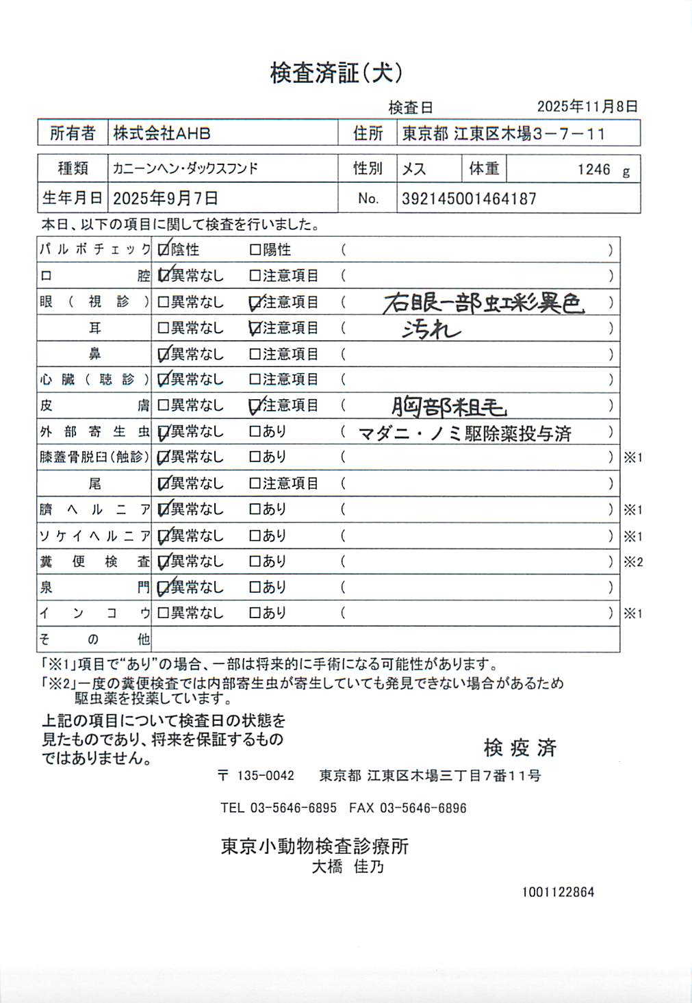 カニーンヘン・ダックスフンド