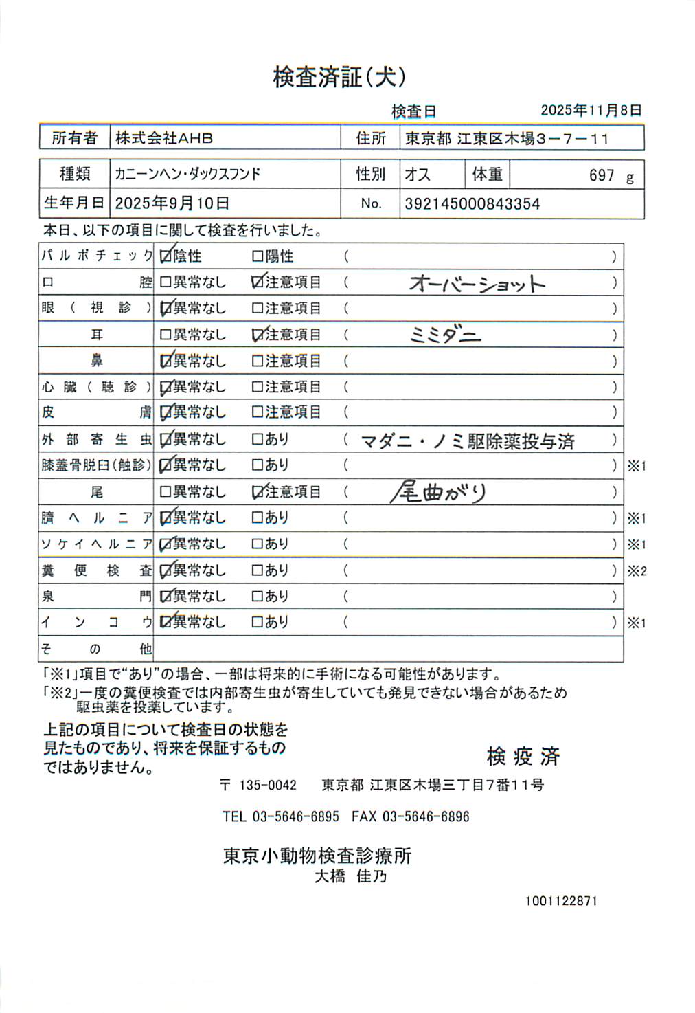 カニーンヘン・ダックスフンド